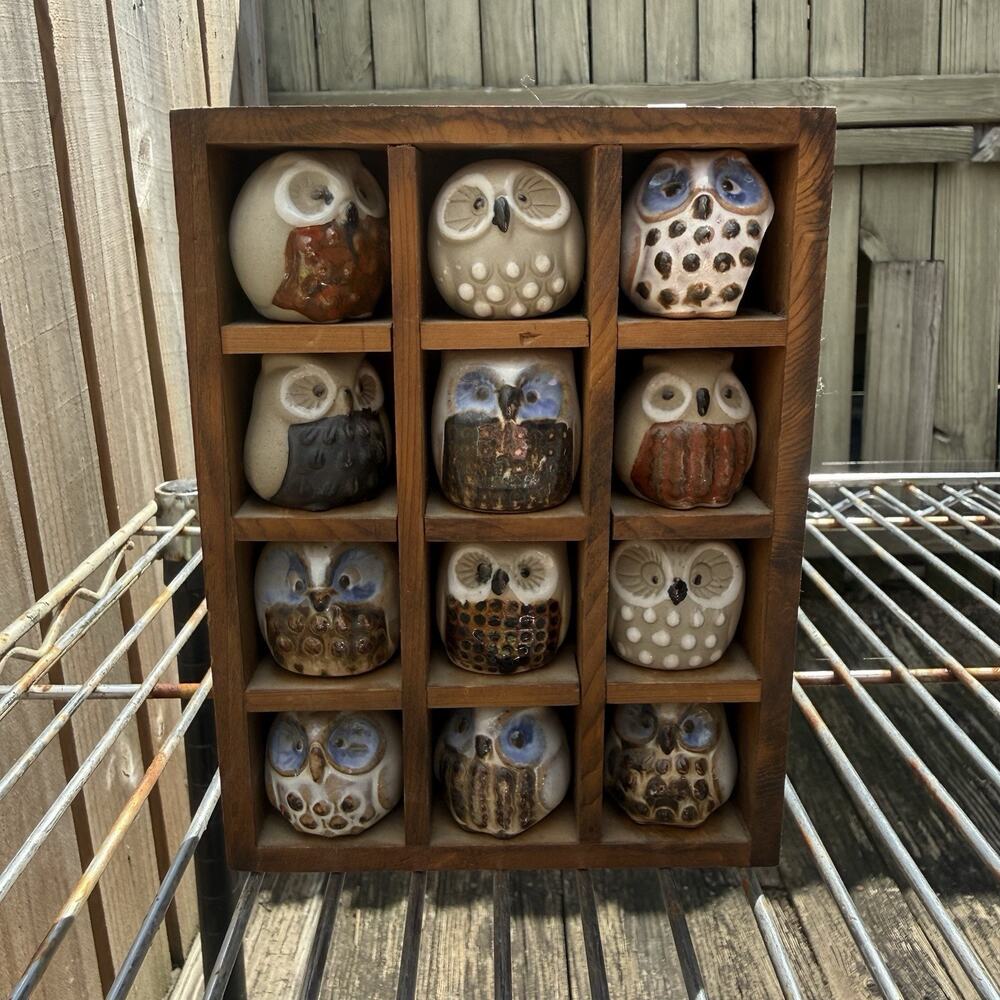 Glazed Mexican Pottery Mini Owl Figurine Trinket Set Wooden Shadow Box